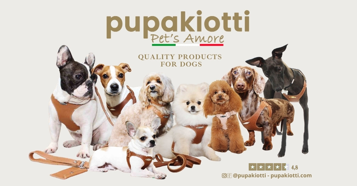Pupakiotti - quality products for dogs made with care in Italy