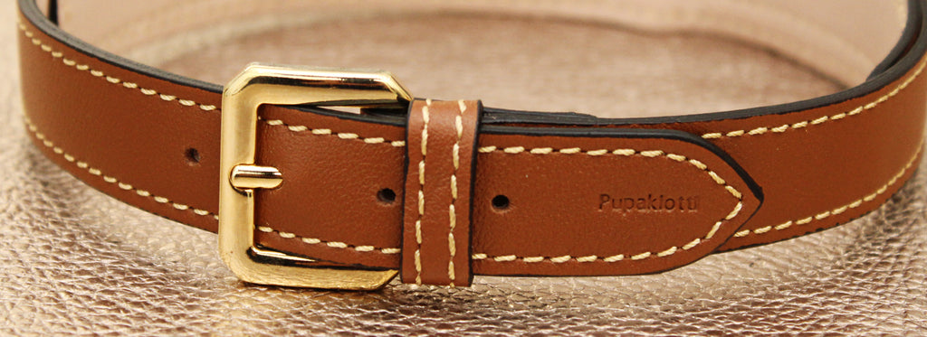 collari in vera pelle Pupakiotti