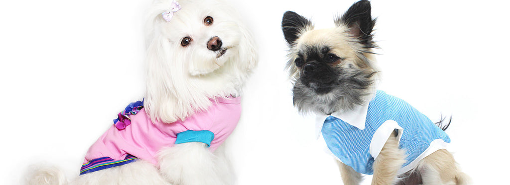 T-SHIRT PER CANI
