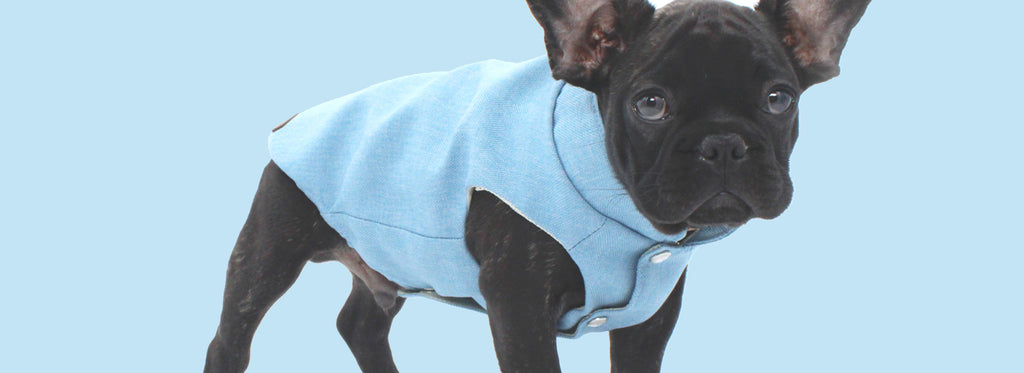 CAPPOTTINI IMPERMEABILI PER CANI
