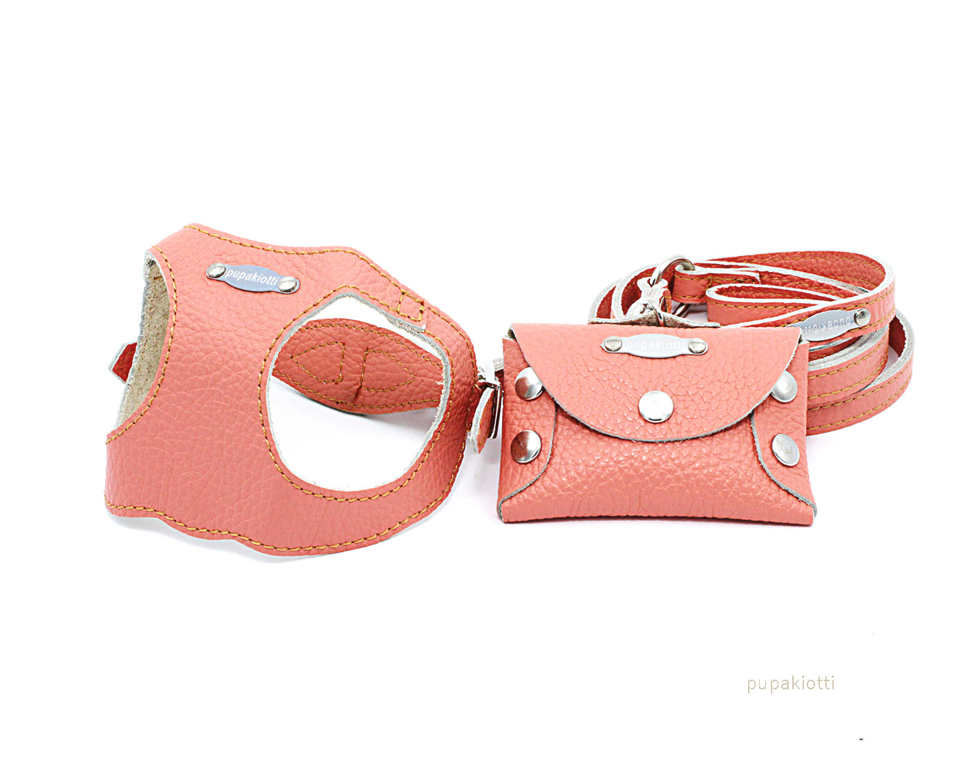 Basic. Set 3 pezzi. Pettorina e guinzaglio con porta sacchetti in pelle per cane