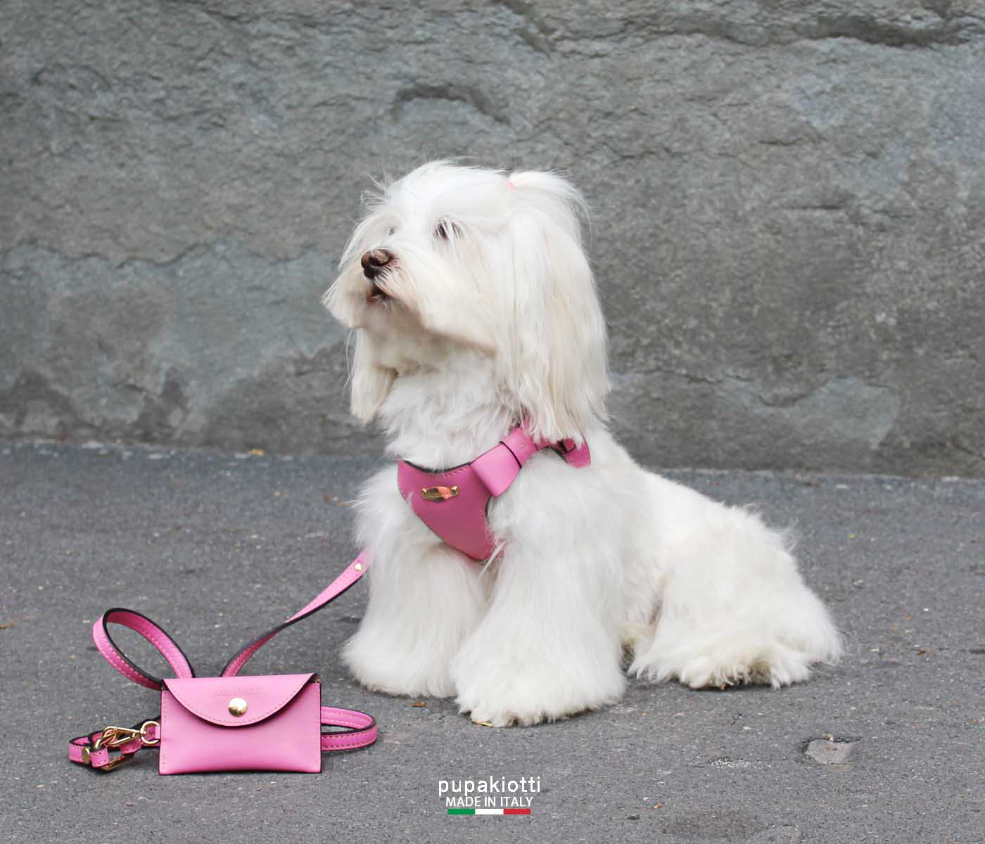 PREMIUM. Leather harness for dog