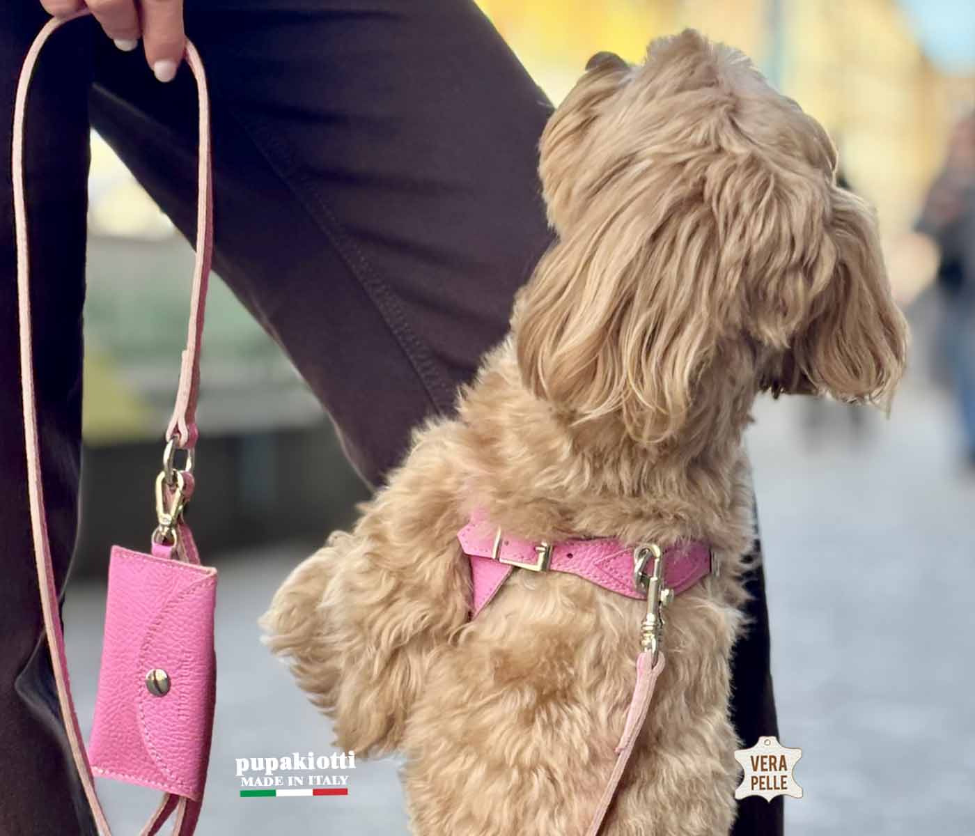 Basic. Set 3 pcs. Leather harness and leash with waste bags dispenser