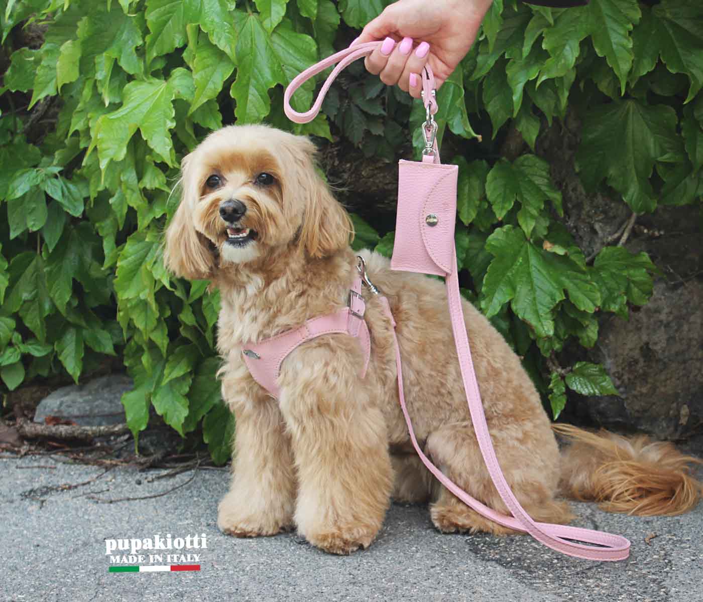 Basic. Set 3 pcs. Leather harness and leash with waste bags dispenser