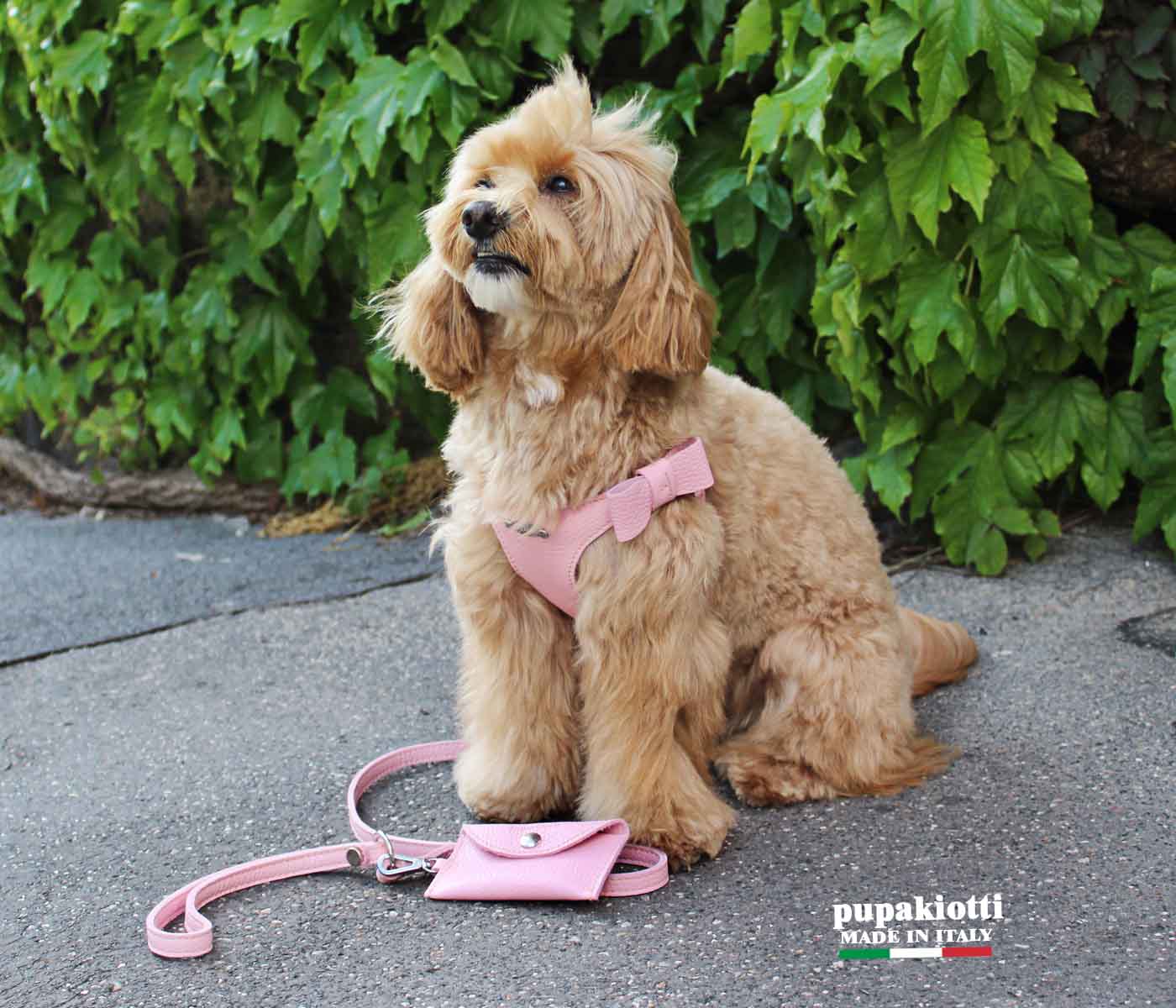 Basic. Set 3 pcs. Leather harness and leash with waste bags dispenser