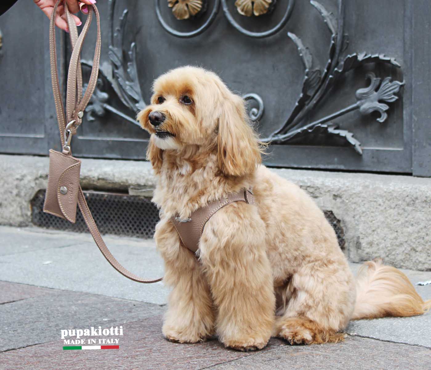 Basic. Set 3 pcs. Leather harness and leash with waste bags dispenser