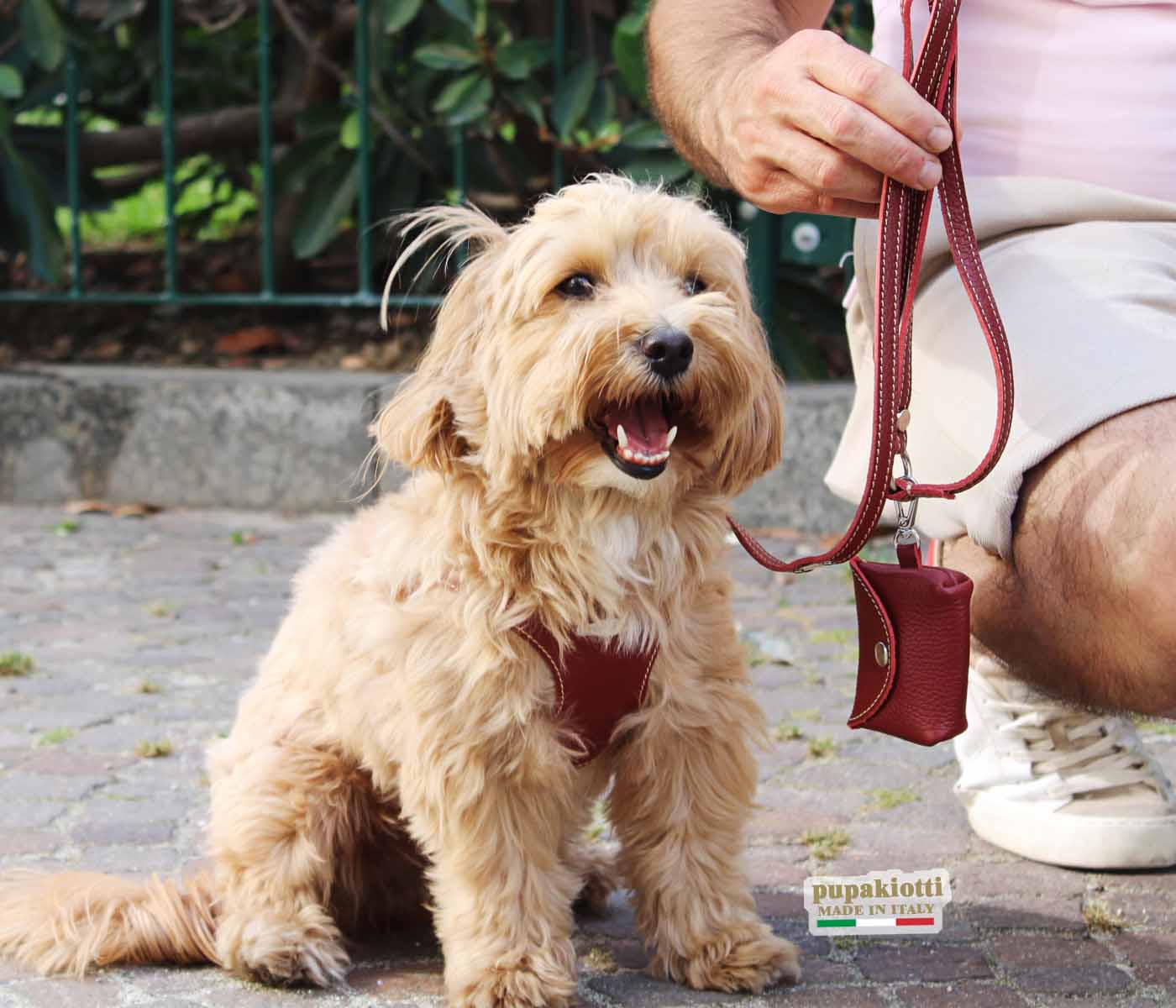 Basic. Set 3 pezzi. Pettorina Bustier e guinzaglio con porta sacchetti in pelle per cane