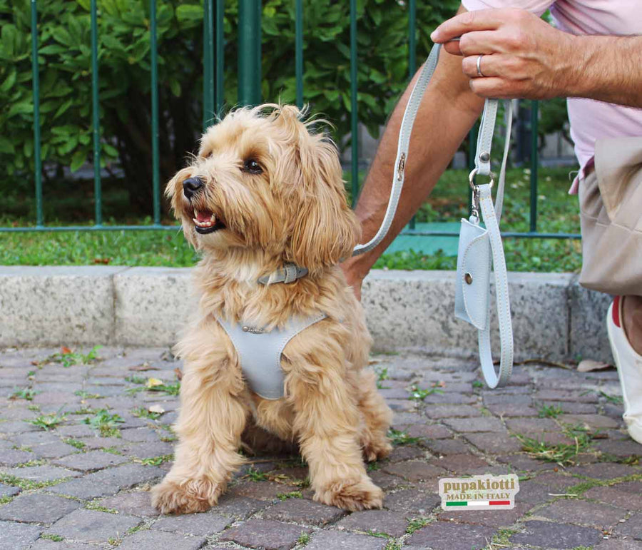 Basic. Set 3 pezzi. Pettorina Bustier e guinzaglio con porta sacchetti in pelle per cane