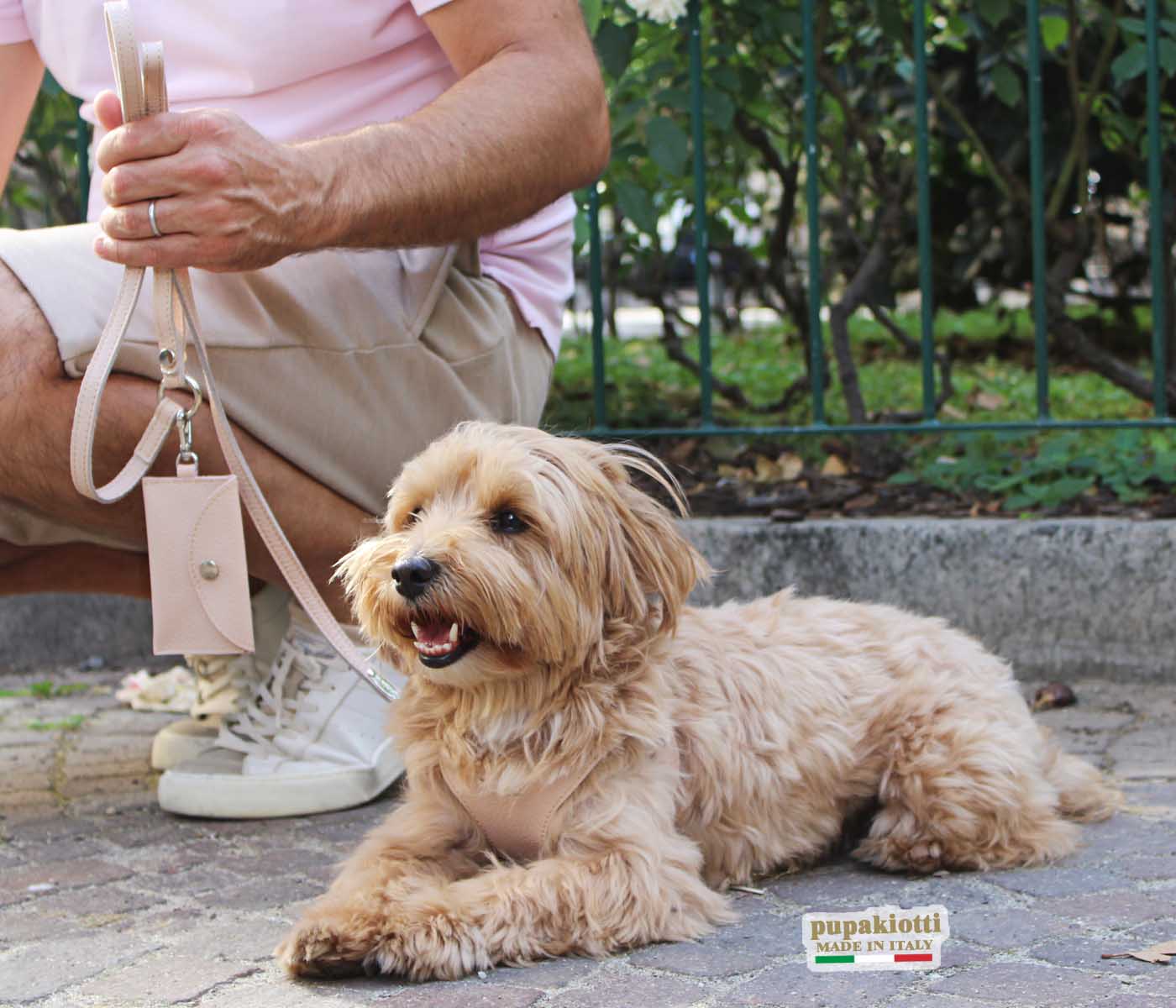 Basic. Set 3 pezzi. Pettorina Bustier e guinzaglio con porta sacchetti in pelle per cane