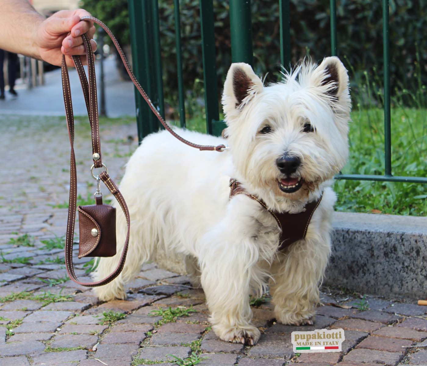 Basic. Set 3 pezzi. Pettorina Bustier e guinzaglio con porta sacchetti in pelle per cane