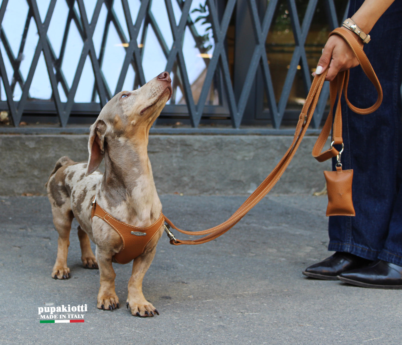 Basic. Set 3 pezzi. Pettorina Bustier e guinzaglio con porta sacchetti in pelle per cane