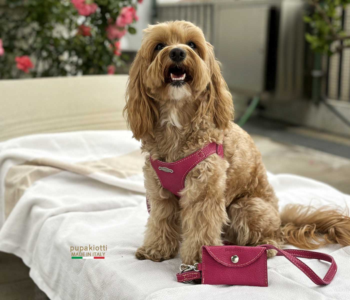 Basic. Set 3 pcs. Leather harness and leash with waste bags dispenser