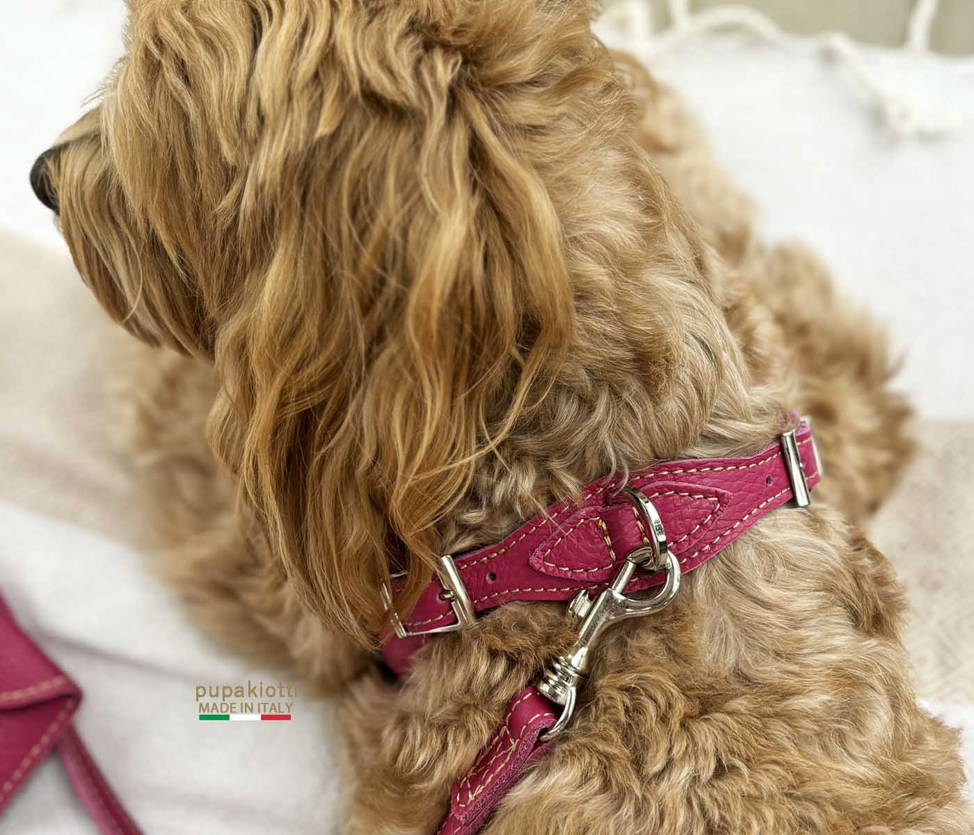 Basic. Set 3 pcs. Leather harness and leash with waste bags dispenser