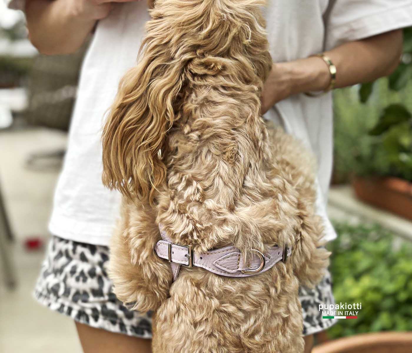 Basic. Set 3 pcs. Leather harness and leash with waste bags dispenser