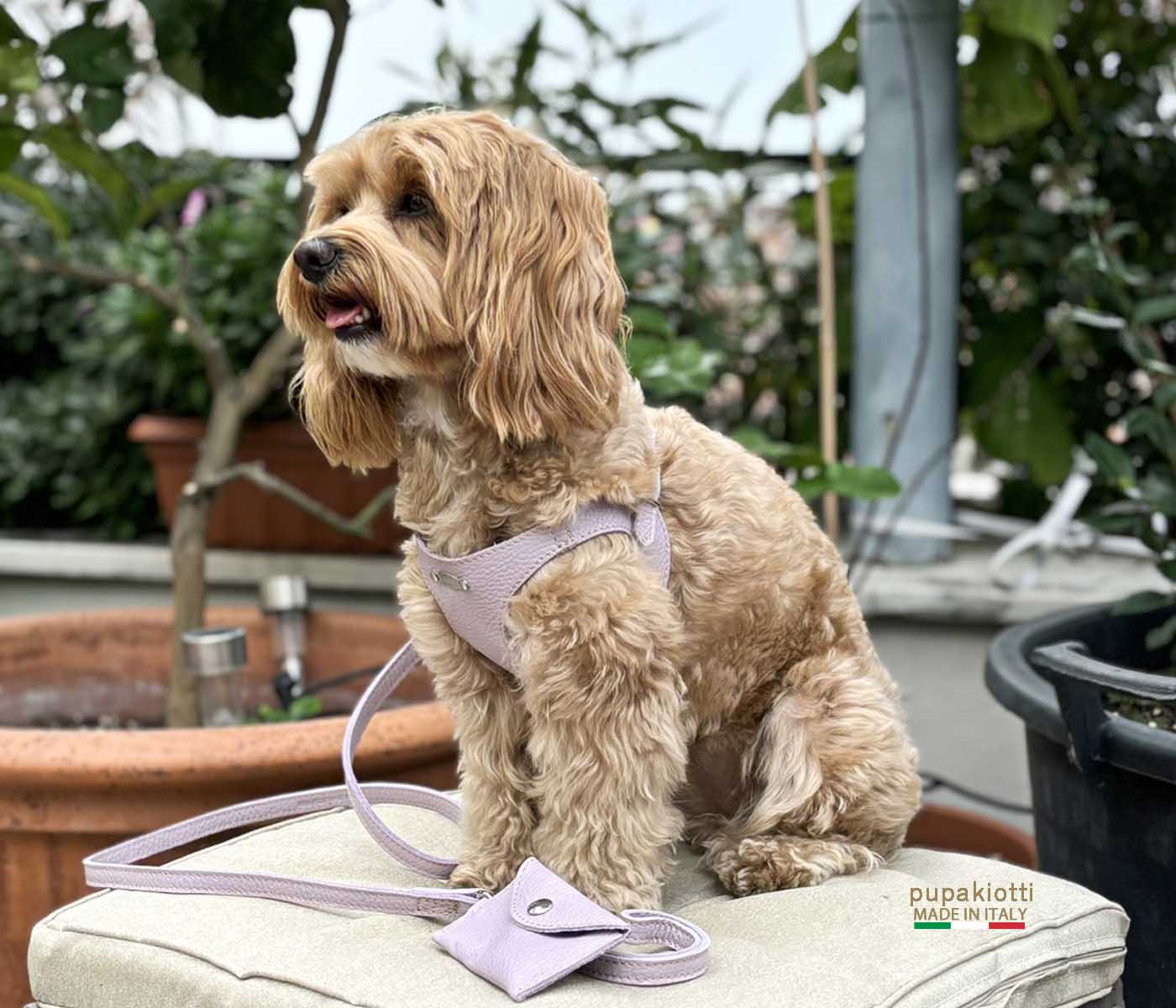 Basic. Set 3 pcs. Leather harness and leash with waste bags dispenser