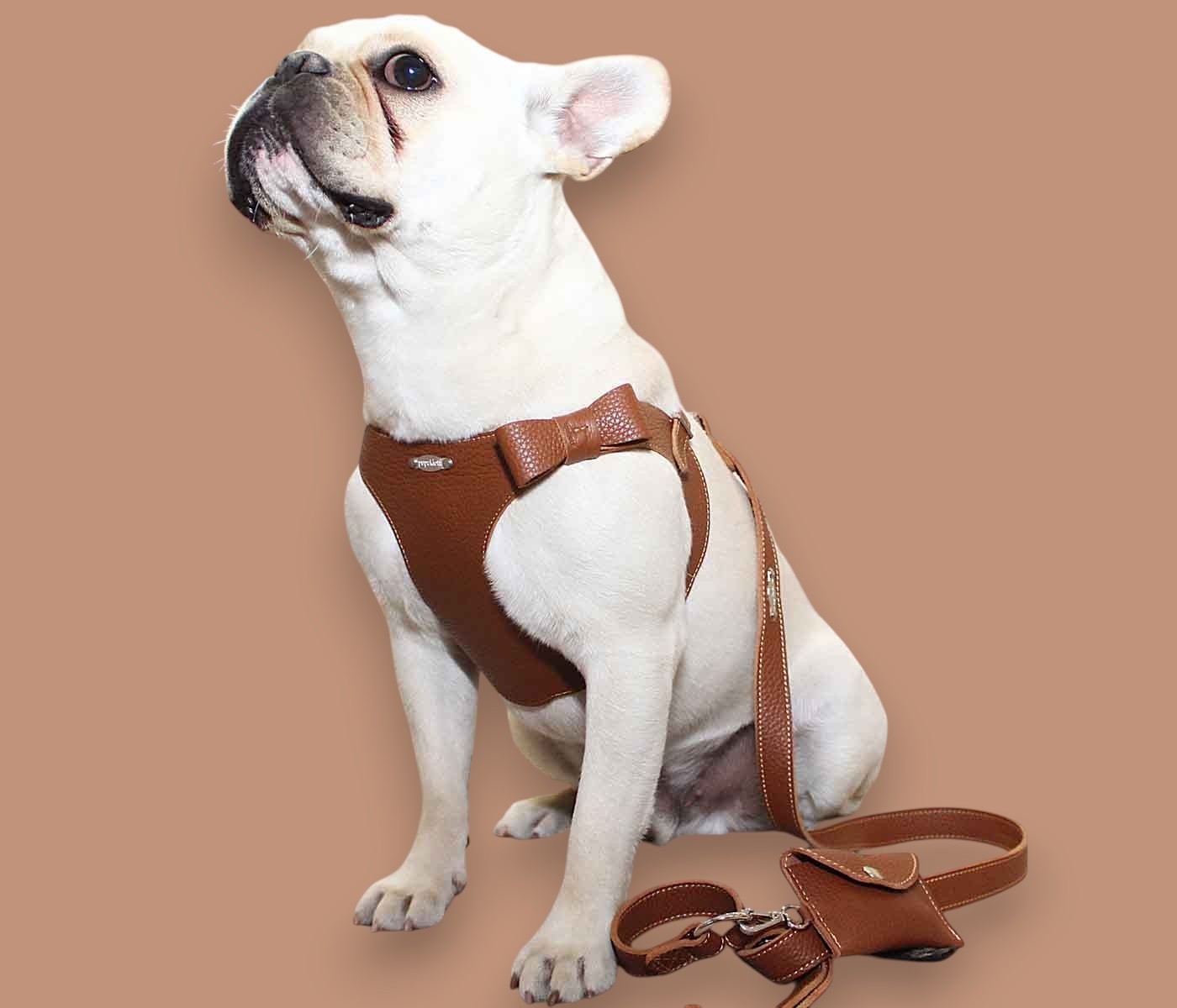 Basic. Set 3 pcs. Leather harness and leash with waste bags dispenser