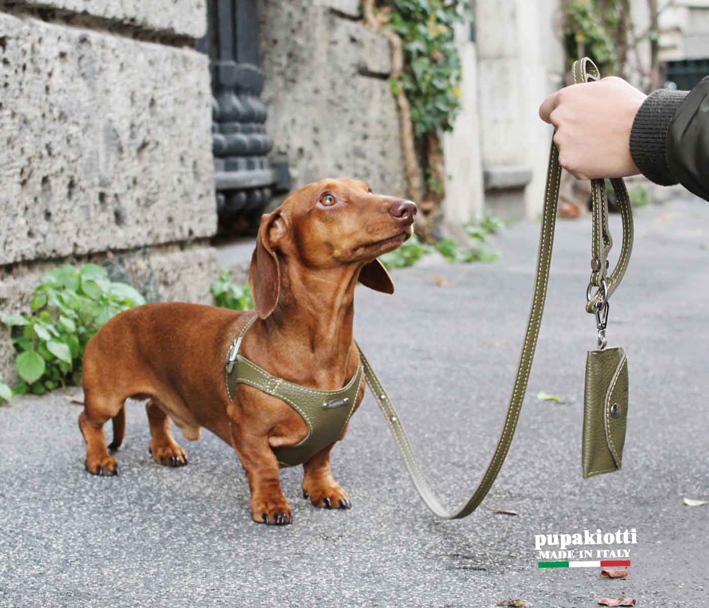 Basic. Set 3 pcs. Leather harness and leash with waste bags dispenser