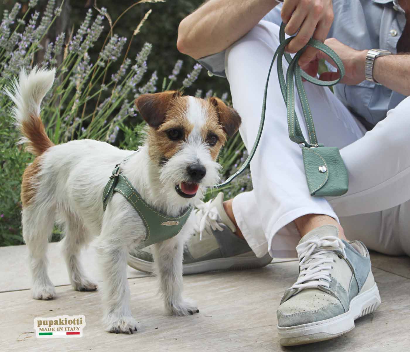 Basic. Set 3 pcs. Leather harness and leash with waste bags dispenser