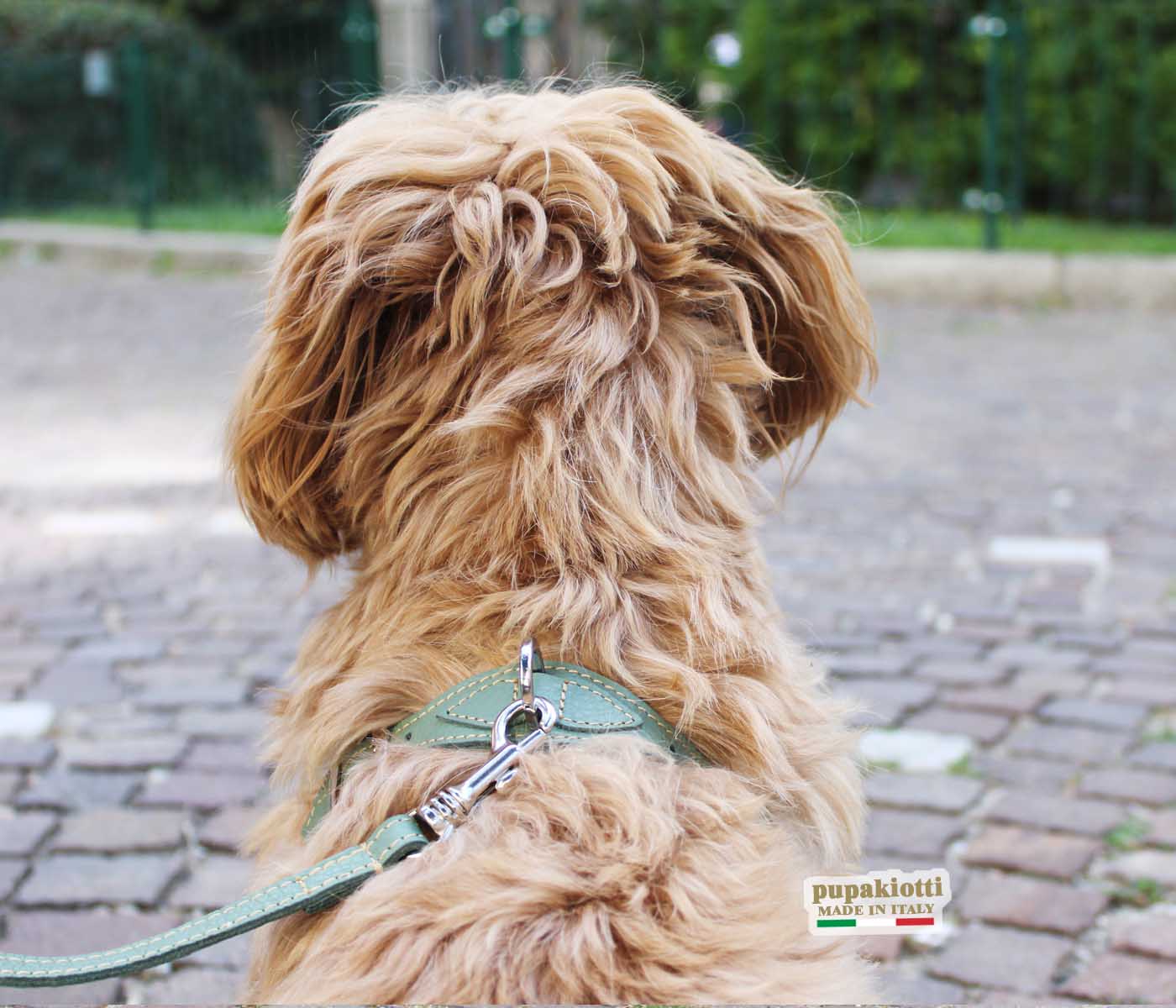 Basic. Set 3 pezzi. Pettorina Bustier e guinzaglio con porta sacchetti in pelle per cane
