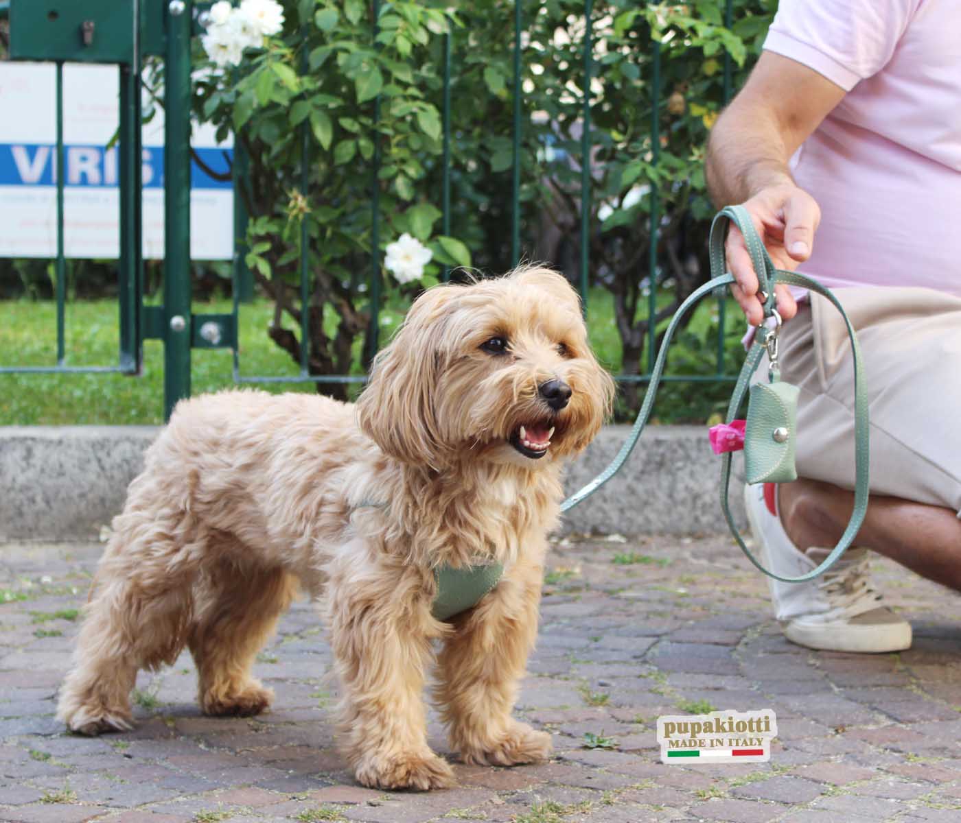 Basic. Set 3 pezzi. Pettorina Bustier e guinzaglio con porta sacchetti in pelle per cane