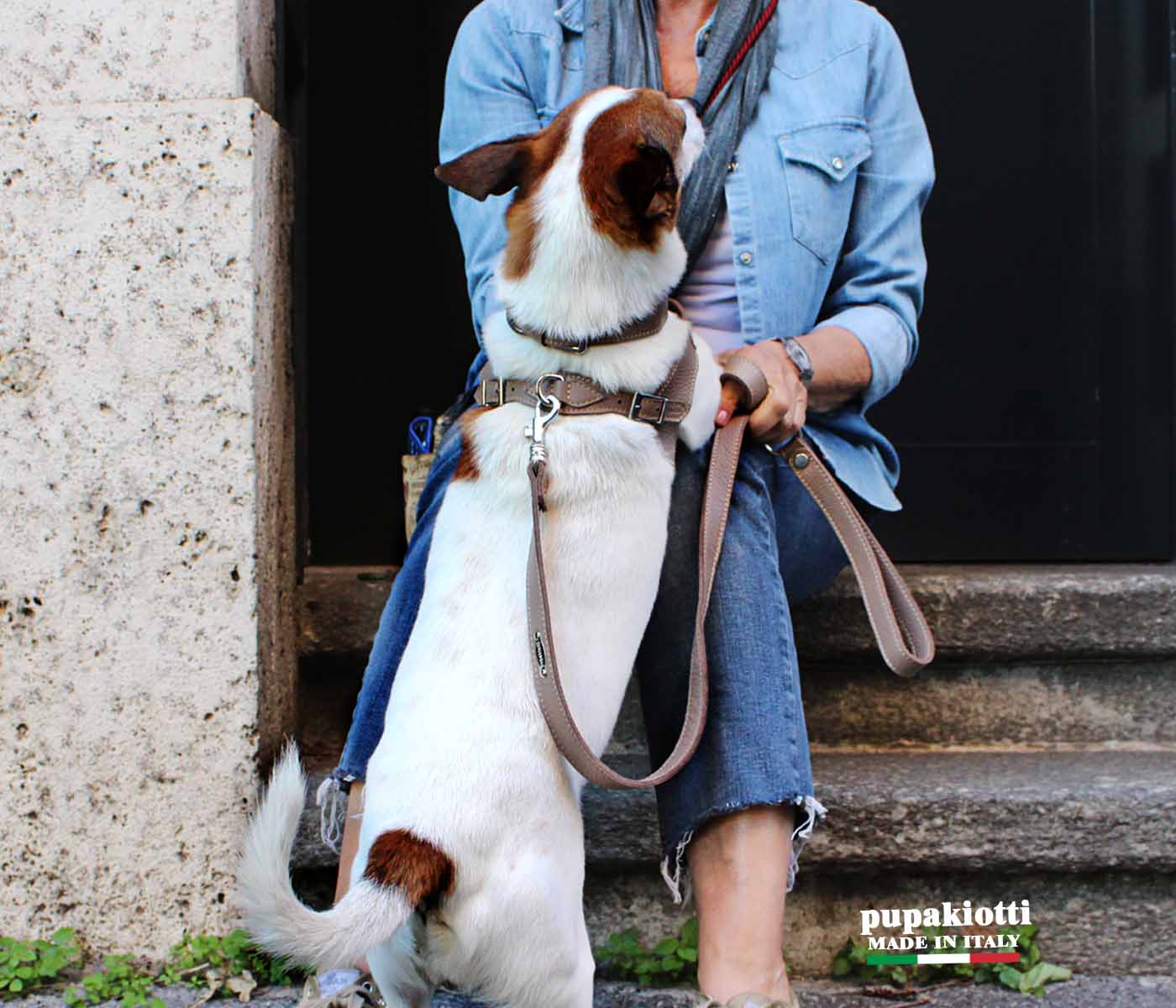 Basic. Set 3 pcs. Leather harness and leash with waste bags dispenser