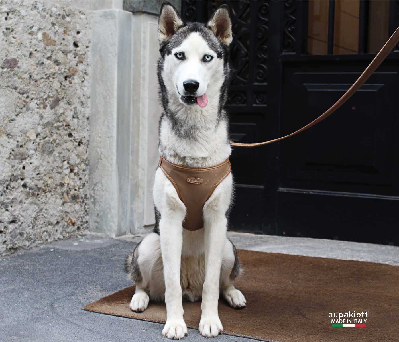 Contemporary. Pettorina ergonomica e regolabile in tessuto tecnico e vera pelle per cane