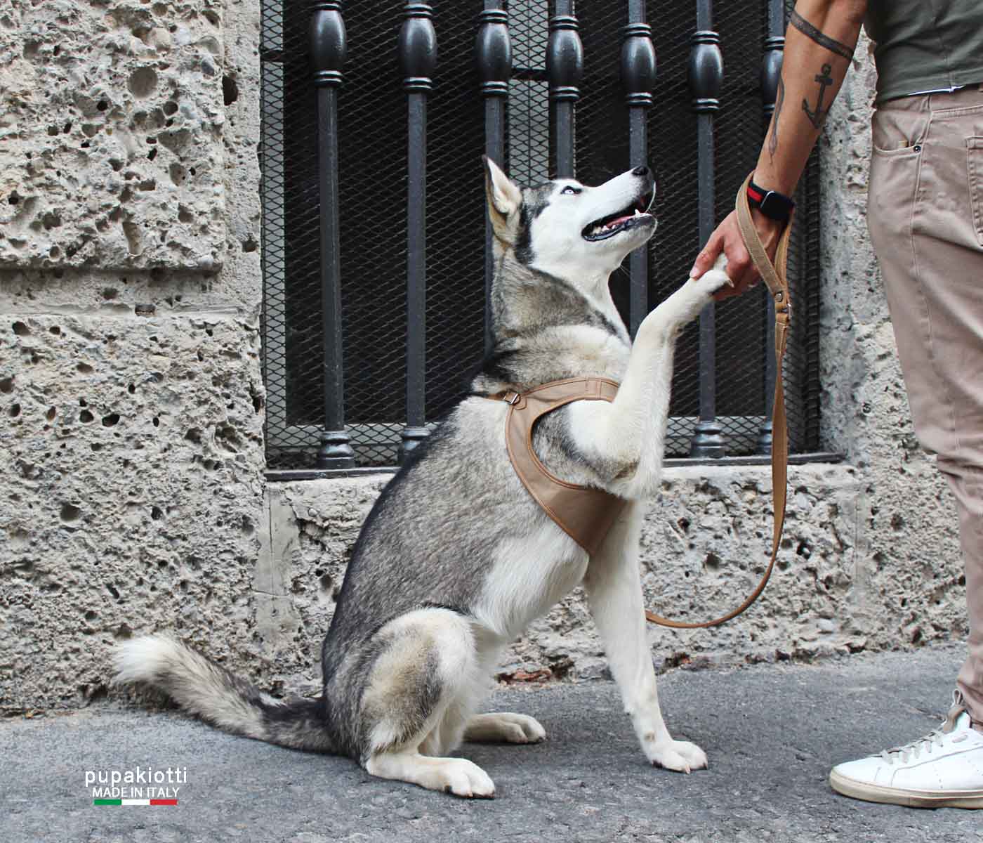 Contemporary. Pettorina ergonomica e regolabile in tessuto tecnico e vera pelle per cane