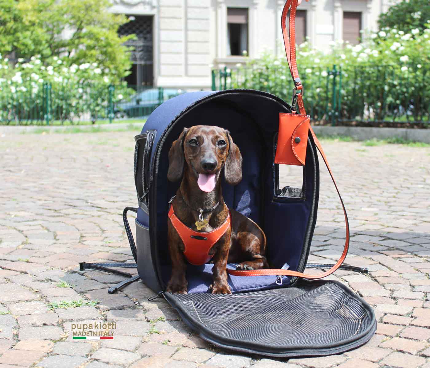 MAXIME. Backpack in Genuine Leather and Contemporary waterproof fabric for dog