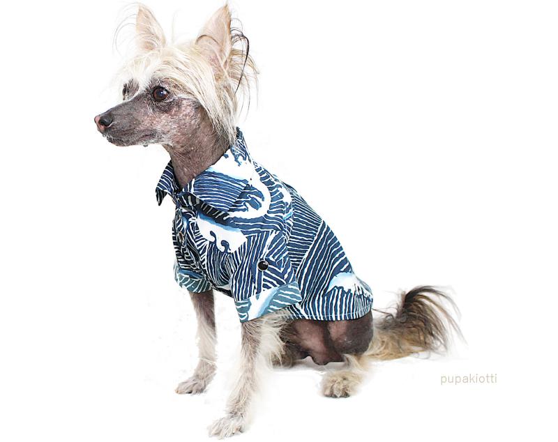 Camicia per cane