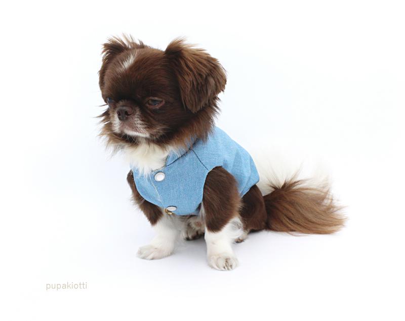 Cappotto impermeabile per cane indossato (fronte)