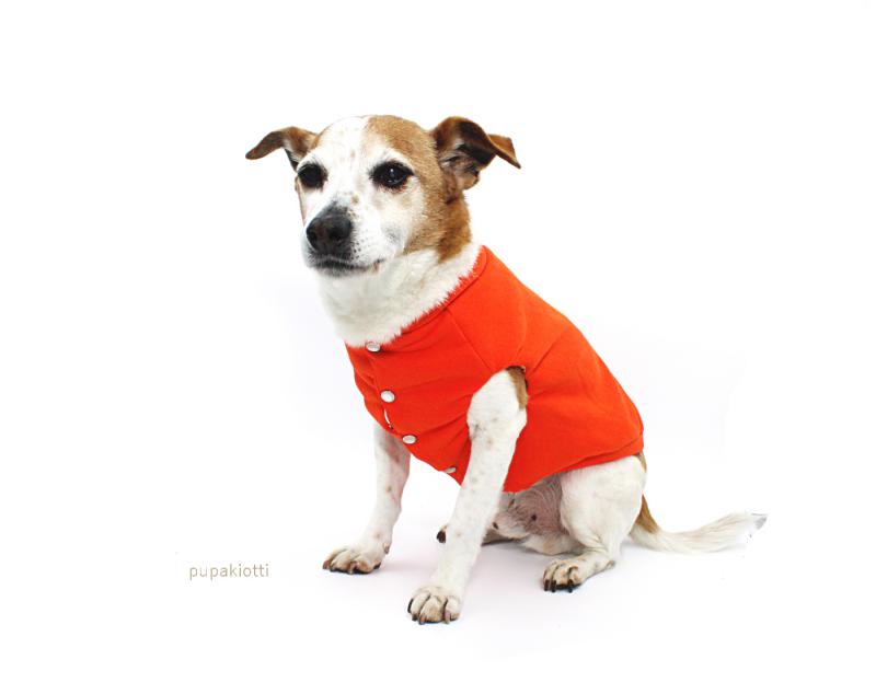 Arli. Felpa per cane