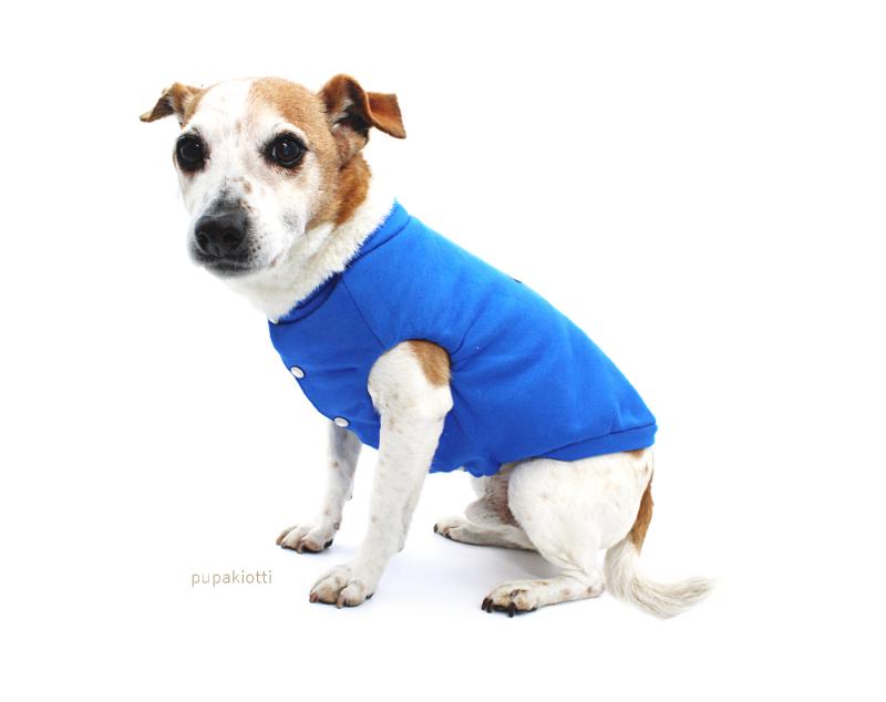 Arli. Felpa per cane