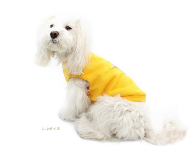 Arli. Felpa per cane