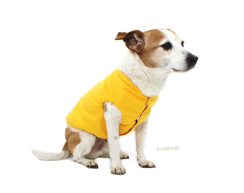 Arli. Felpa per cane