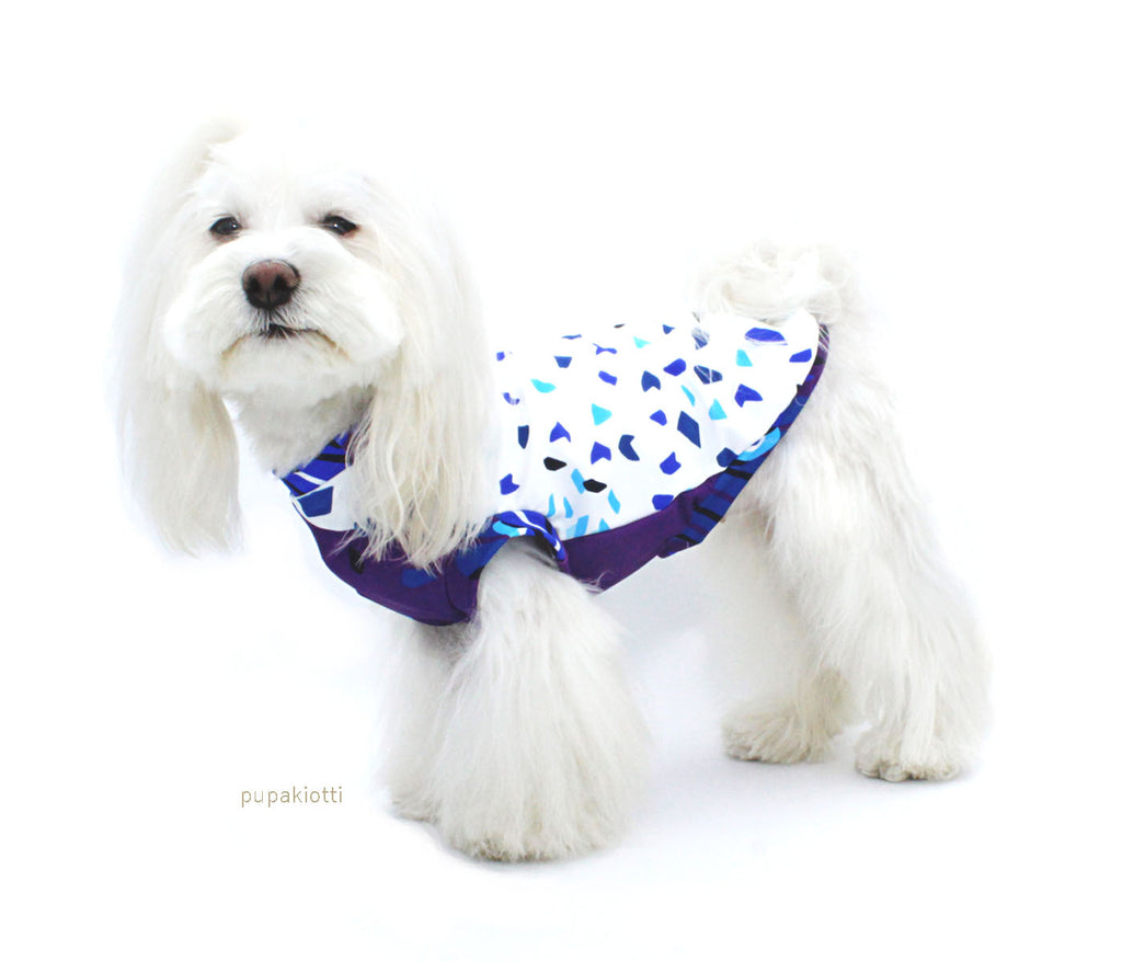 Farfalla. T-shirt per cane