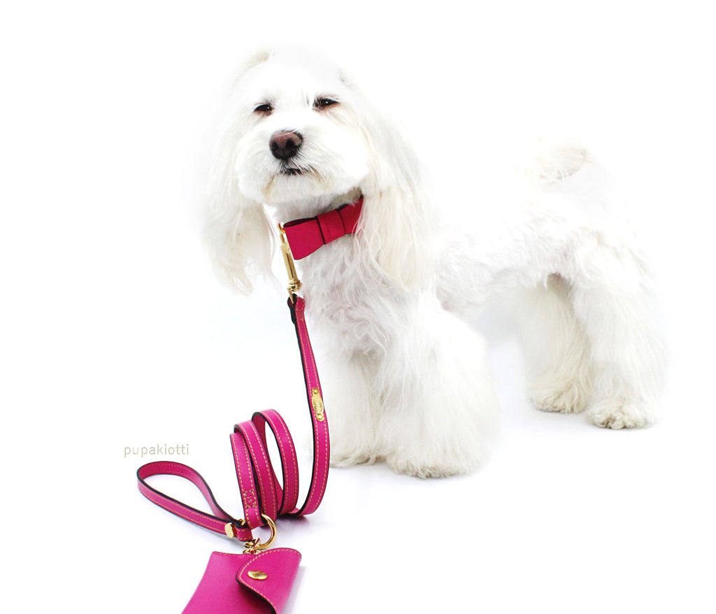 Premium. Collare in vera pelle per cane