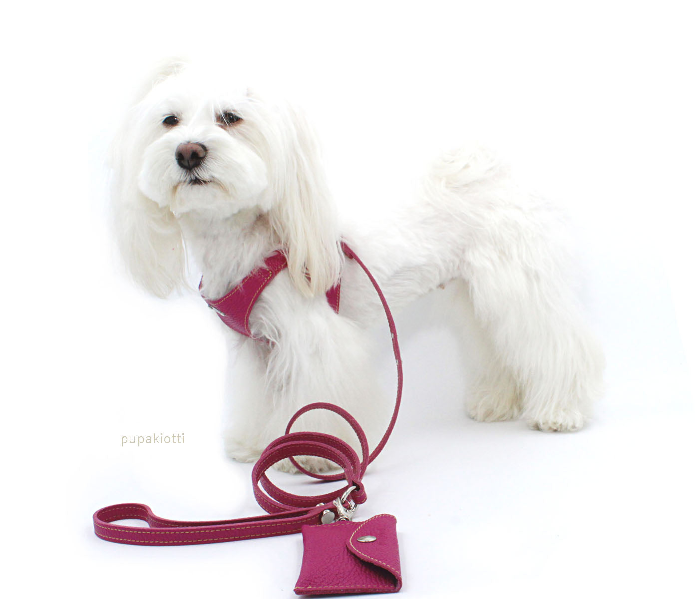 Basic. 3 pieces set. Leather Harness and leash with poop bags dispenser for dogs