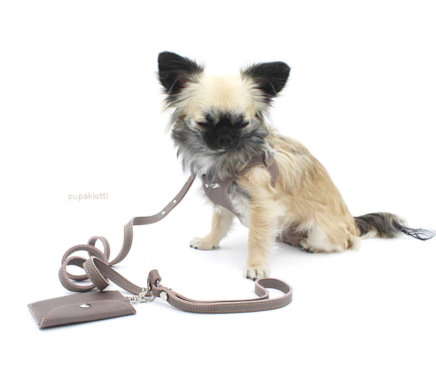 Basic. 3 pieces set. Leather Harness and leash with poop bags dispenser for dogs