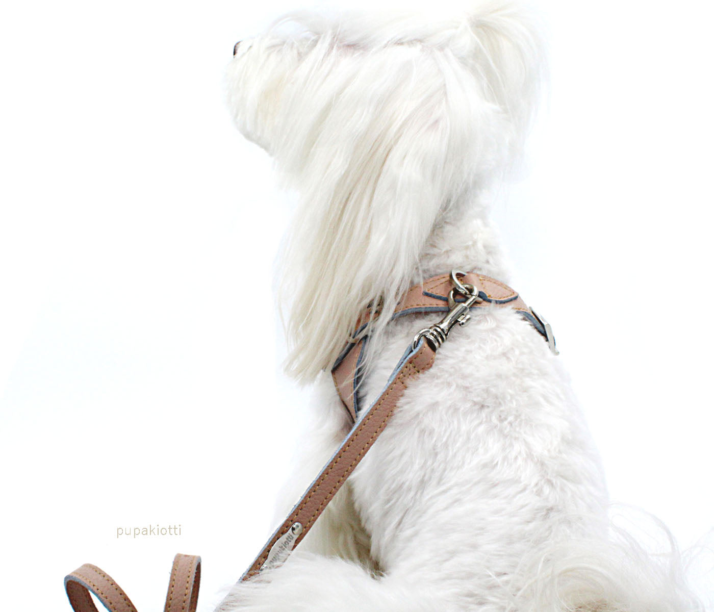 Basic. 3 pieces set. Leather Harness and leash with poop bags dispenser for dogs