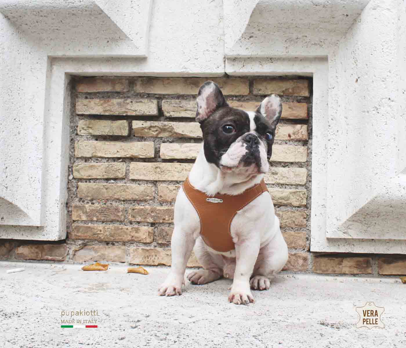 Basic. Ergonomic and adjustable leather harness for dogs