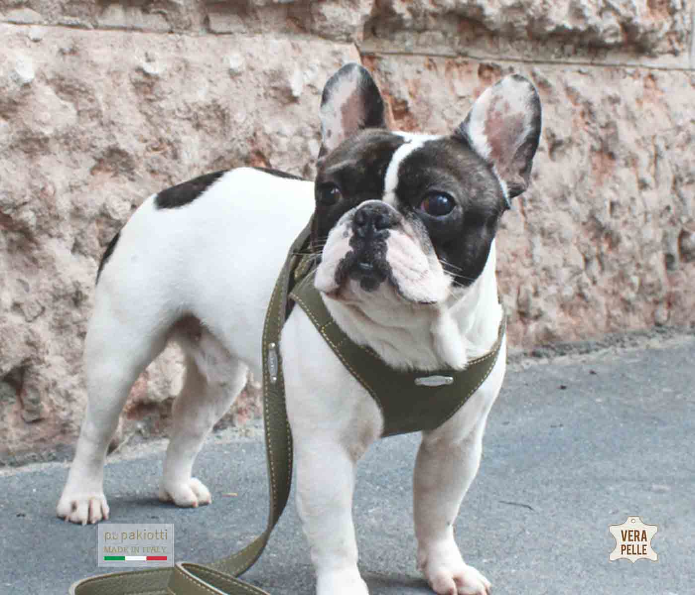 Basic. Pettorina ergonomica e regolabile in pelle  per cani