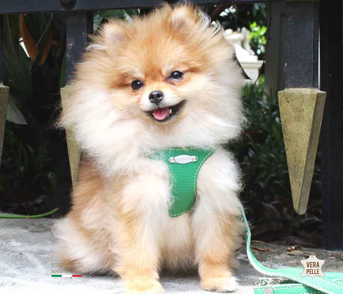 Basic. Ergonomic and adjustable leather harness for dogs