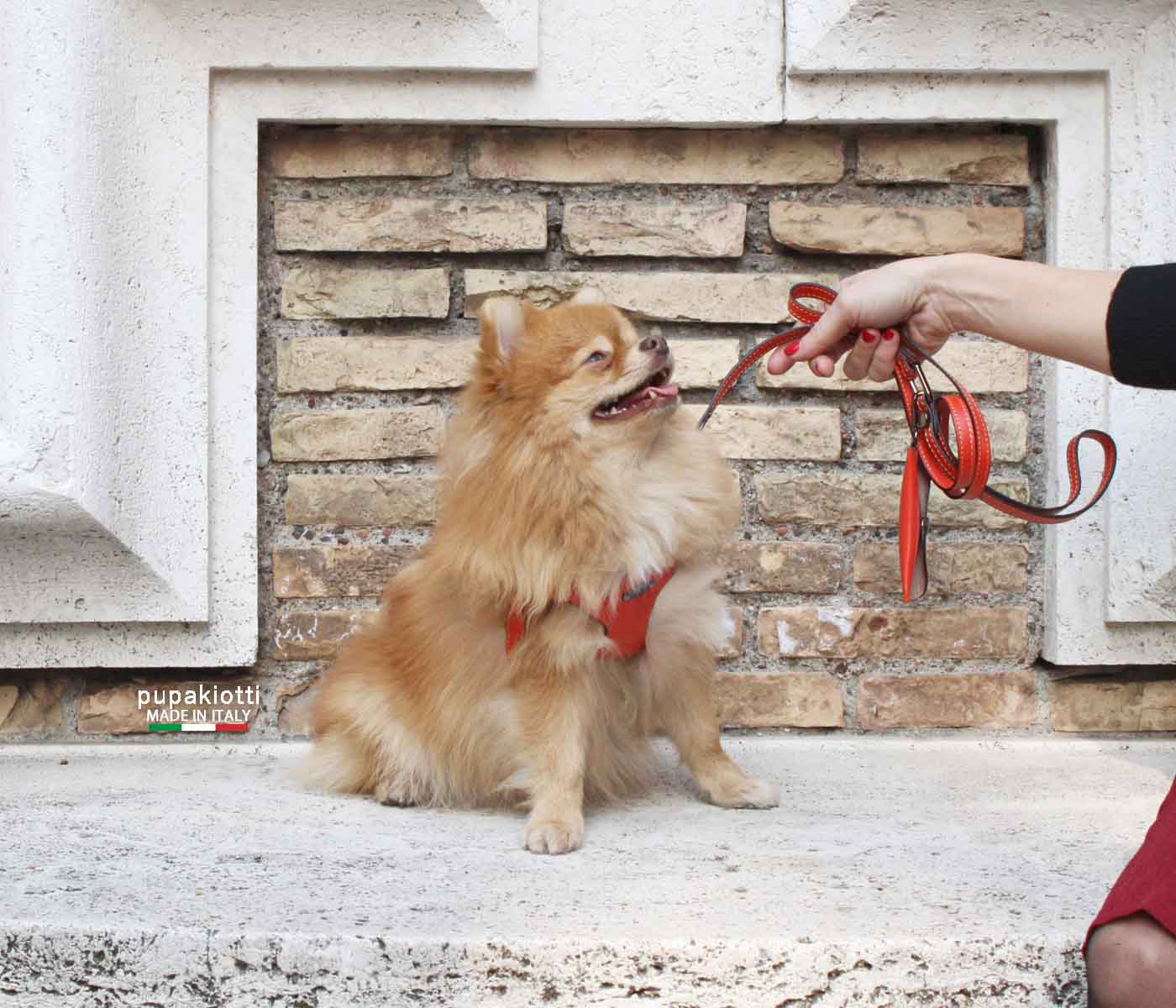 PREMIUM. SET 3 pieces. Leather harness and leash with poop bags dispenser for dog