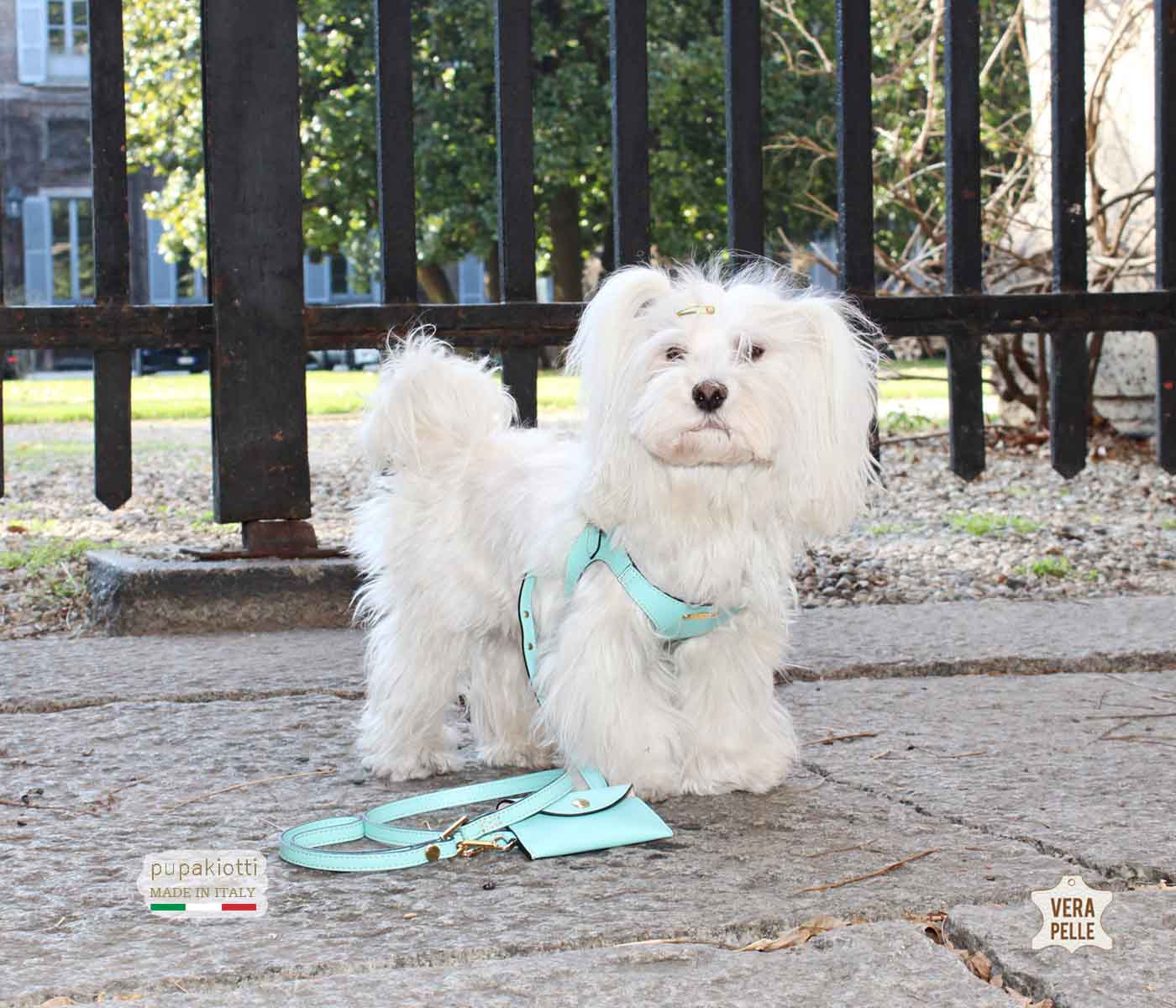 PREMIUM. SET 3 pieces. Leather harness and leash with poop bags dispenser for dog