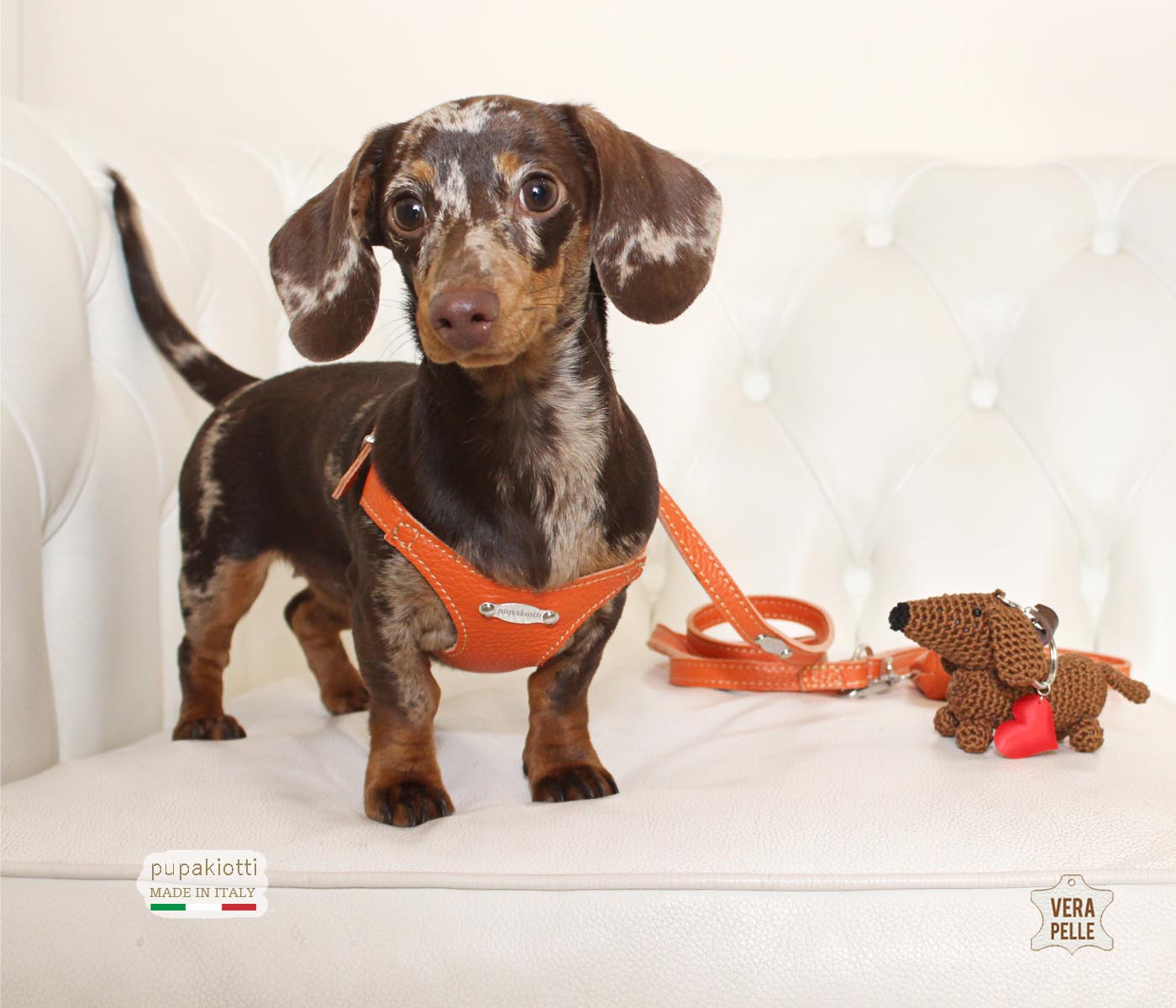 Basic. Set 3 pezzi. Pettorina e guinzaglio con porta sacchetti in pelle per cane