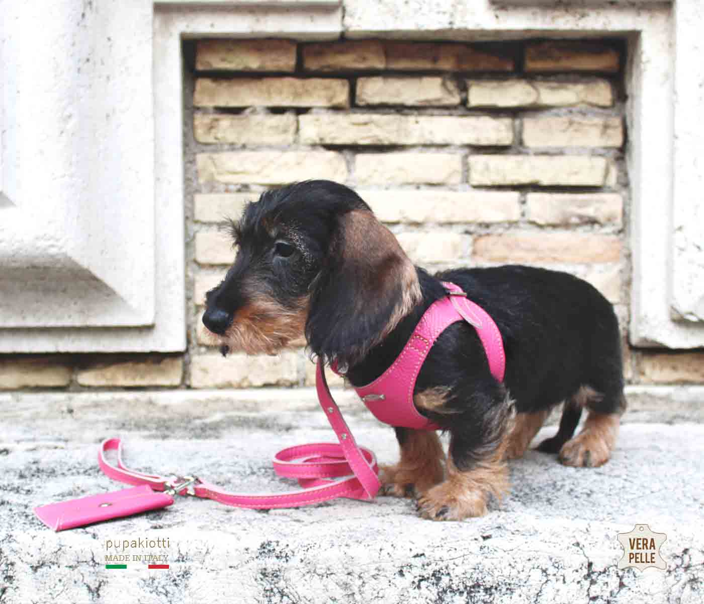 Basic. Set 3 pcs. Leather harness and leash with waste bags dispenser