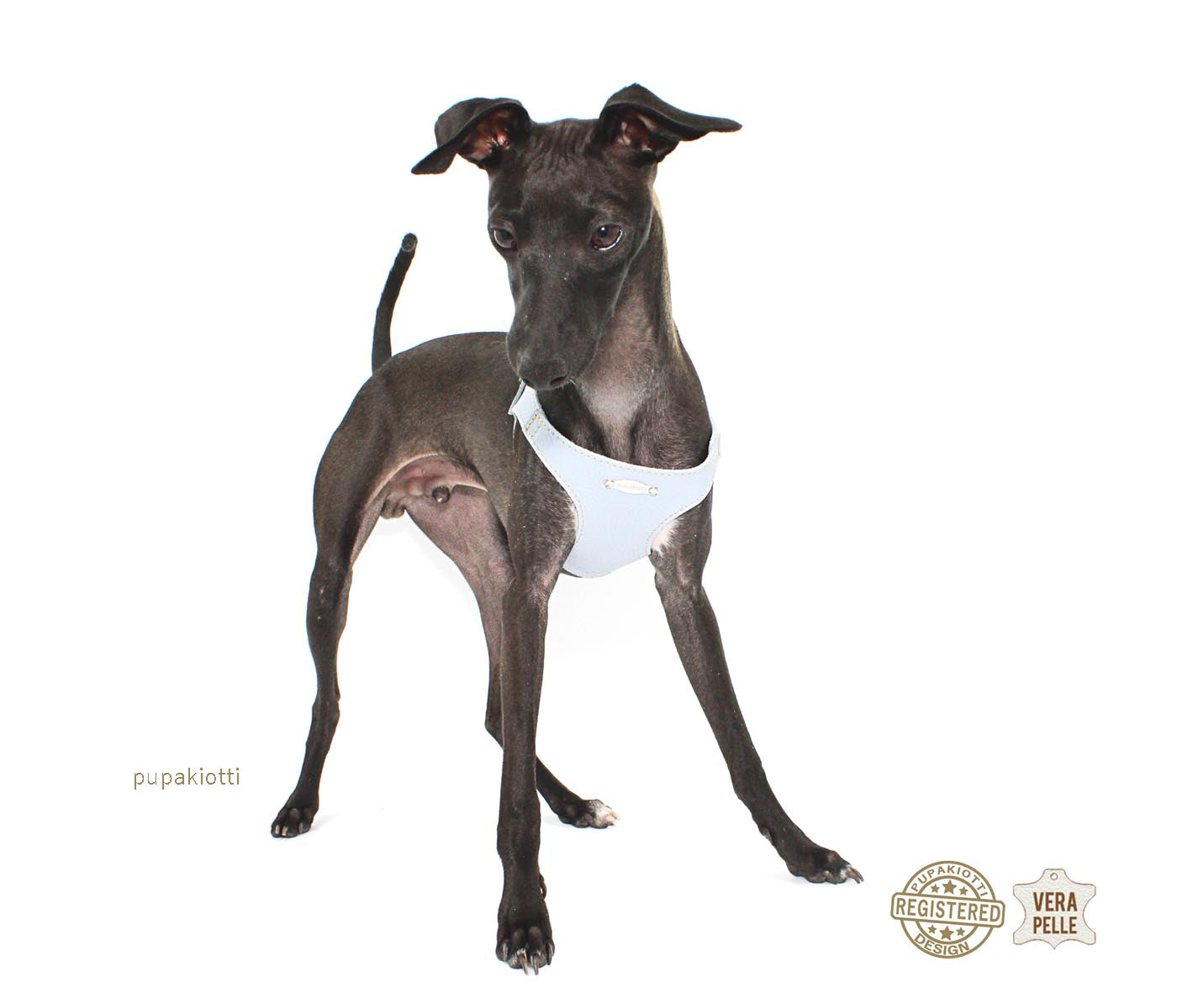 Basic. Set 3 pezzi. Pettorina e guinzaglio con porta sacchetti in pelle per cane