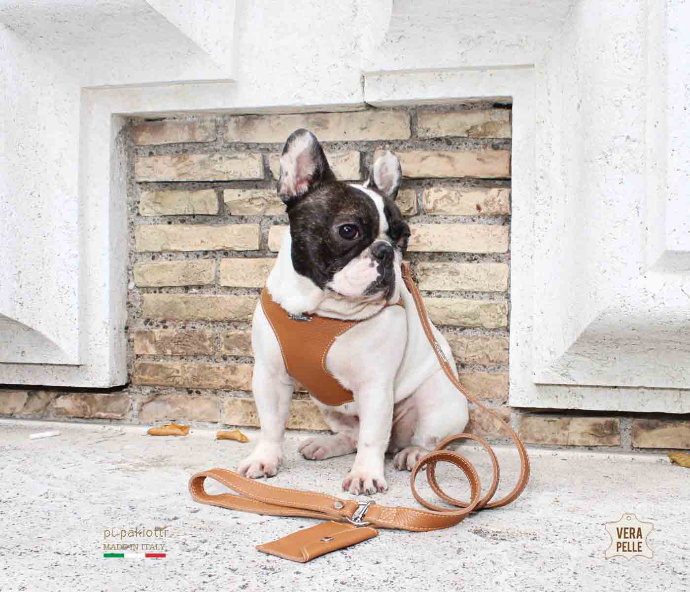 Basic. Set 3 pcs. Leather harness and leash with waste bags dispenser