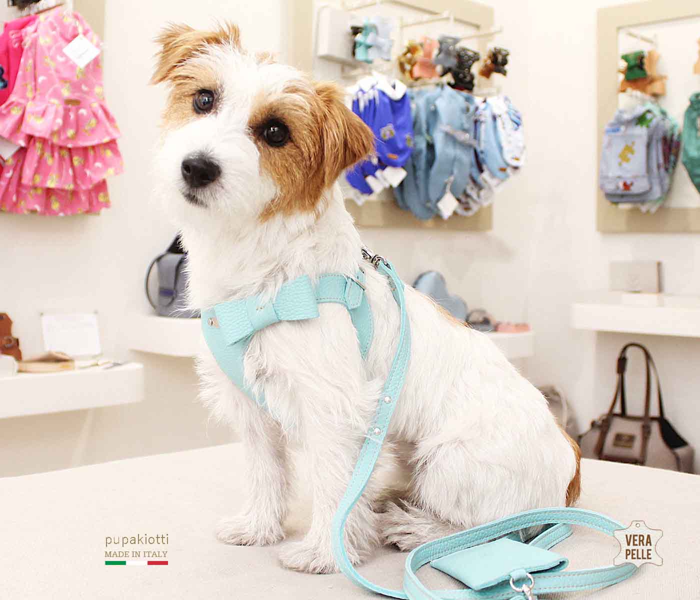 Basic. Set 3 pezzi. Pettorina e guinzaglio con porta sacchetti in pelle per cane