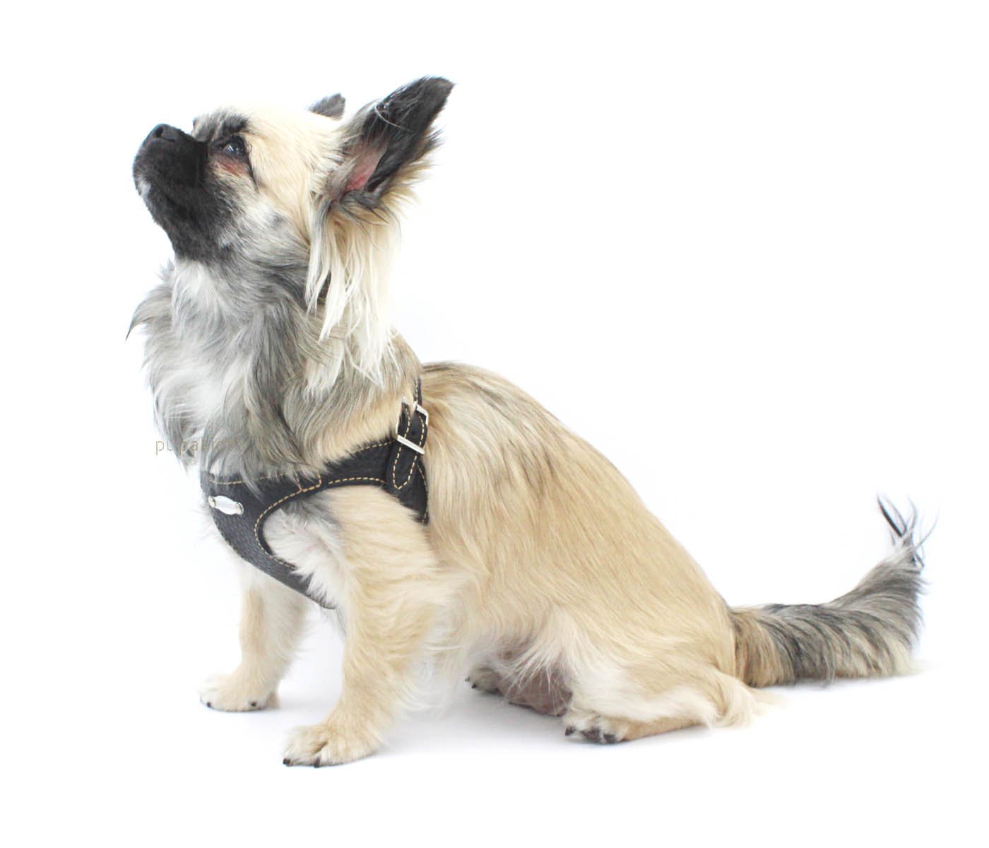 Basic. Pettorina ergonomica e regolabile in pelle  per cani